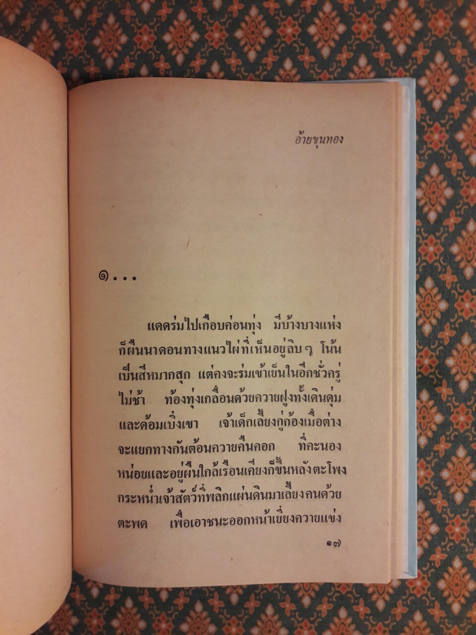 คนละถิ่น อ้ายขุนทอง