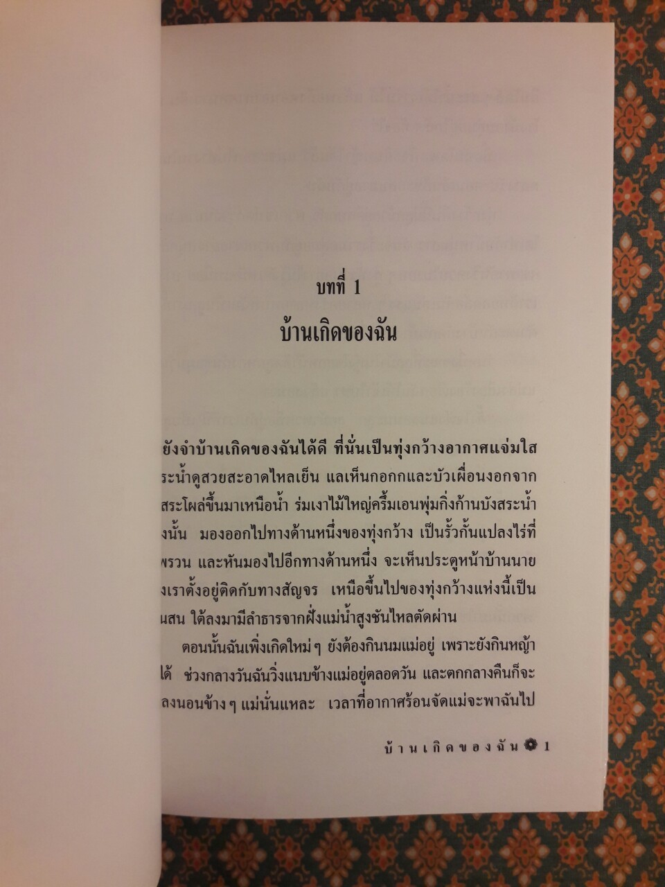 แบล็ก บิวตี้ Black Beauty “พร้อมกล่อง”