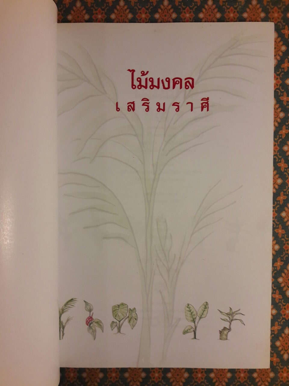 ไม้มงคลเสริมราศี