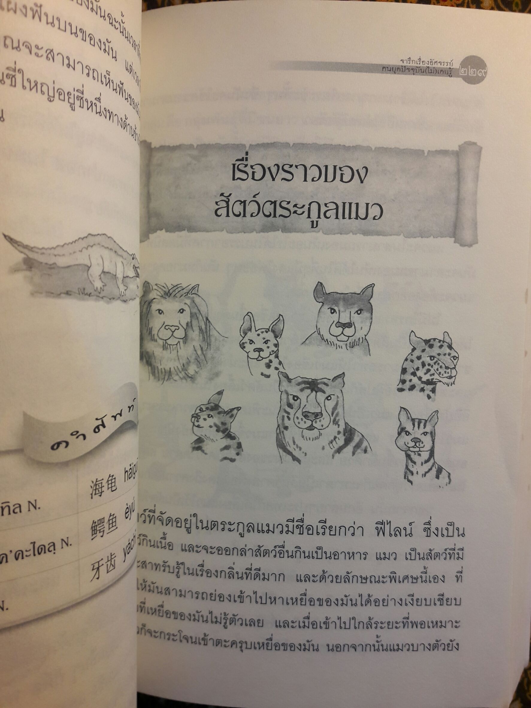 จารึกเรื่องอัศจรรย์ คนยุคปัจจุบัน (ไม่) เคยรู้