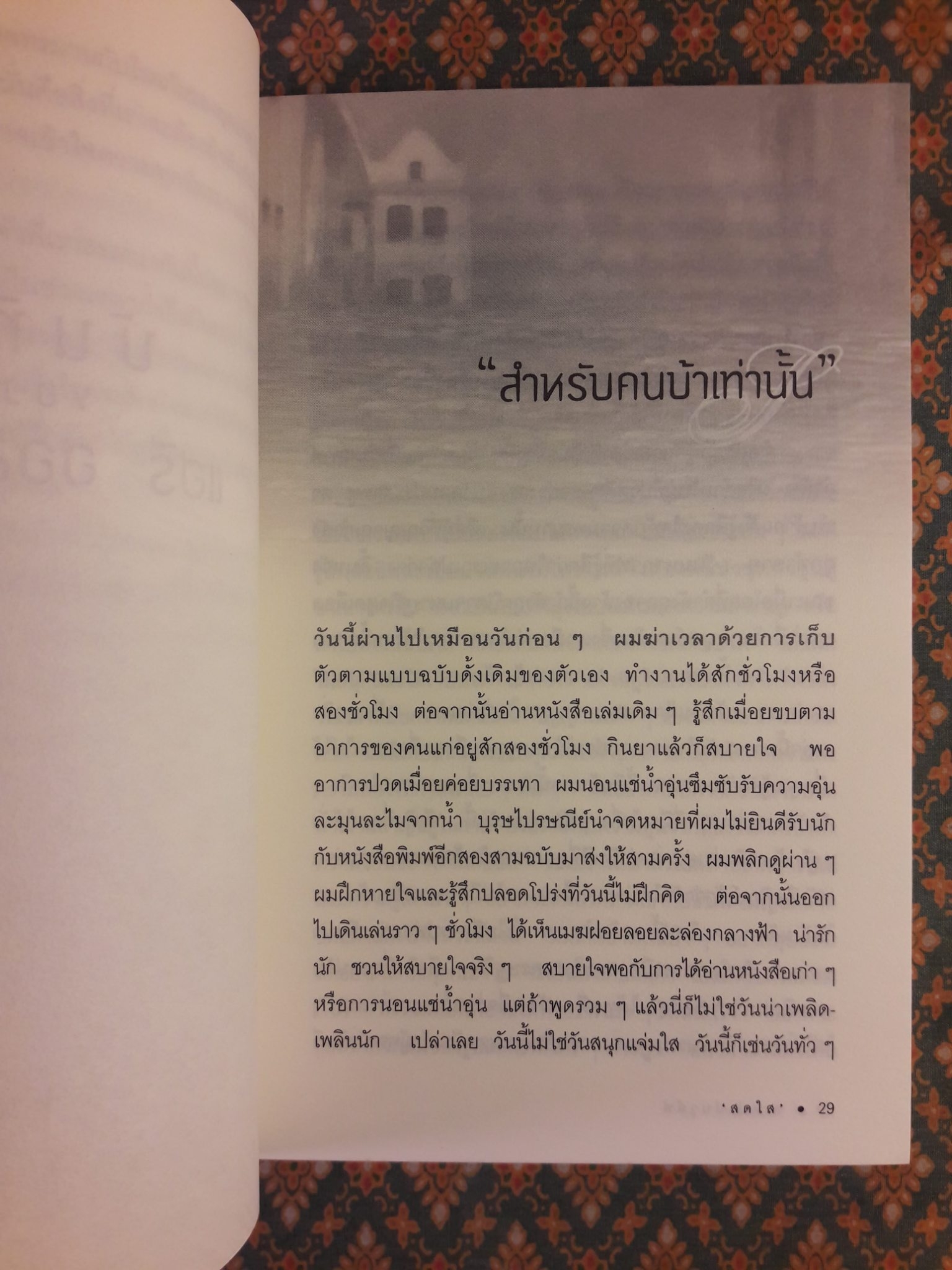 สเตปเปนวูล์ฟ STEPPENWOLF