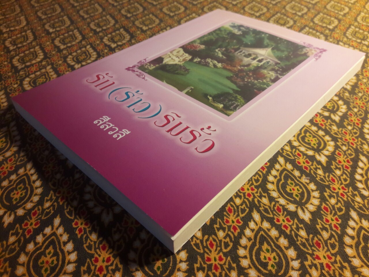 รัก (ร้าว) ริมรั้ว