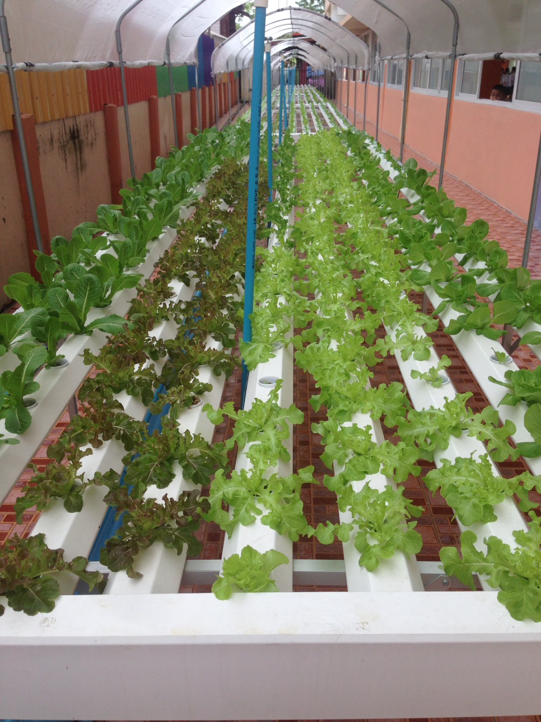 โรงเรียนวัดชมนิมิตร