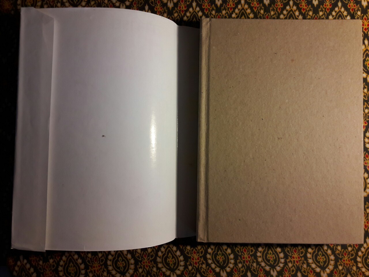 อาจารย์ศรีธนญชัย ศรีธนญชัยและน้อง