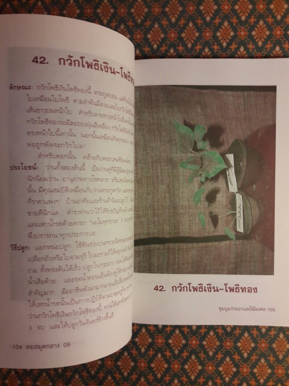 ชุมนุมว่านยาและไม้มงคล