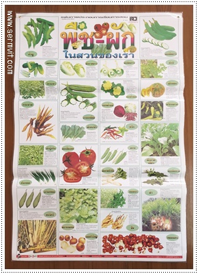 โปสเตอร์ พืชผักในสวนของเรา