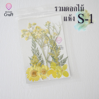 รวมดอกไม้แห้ง S ดอกไม้แห้งทับ ดอกไม้แบบคละ