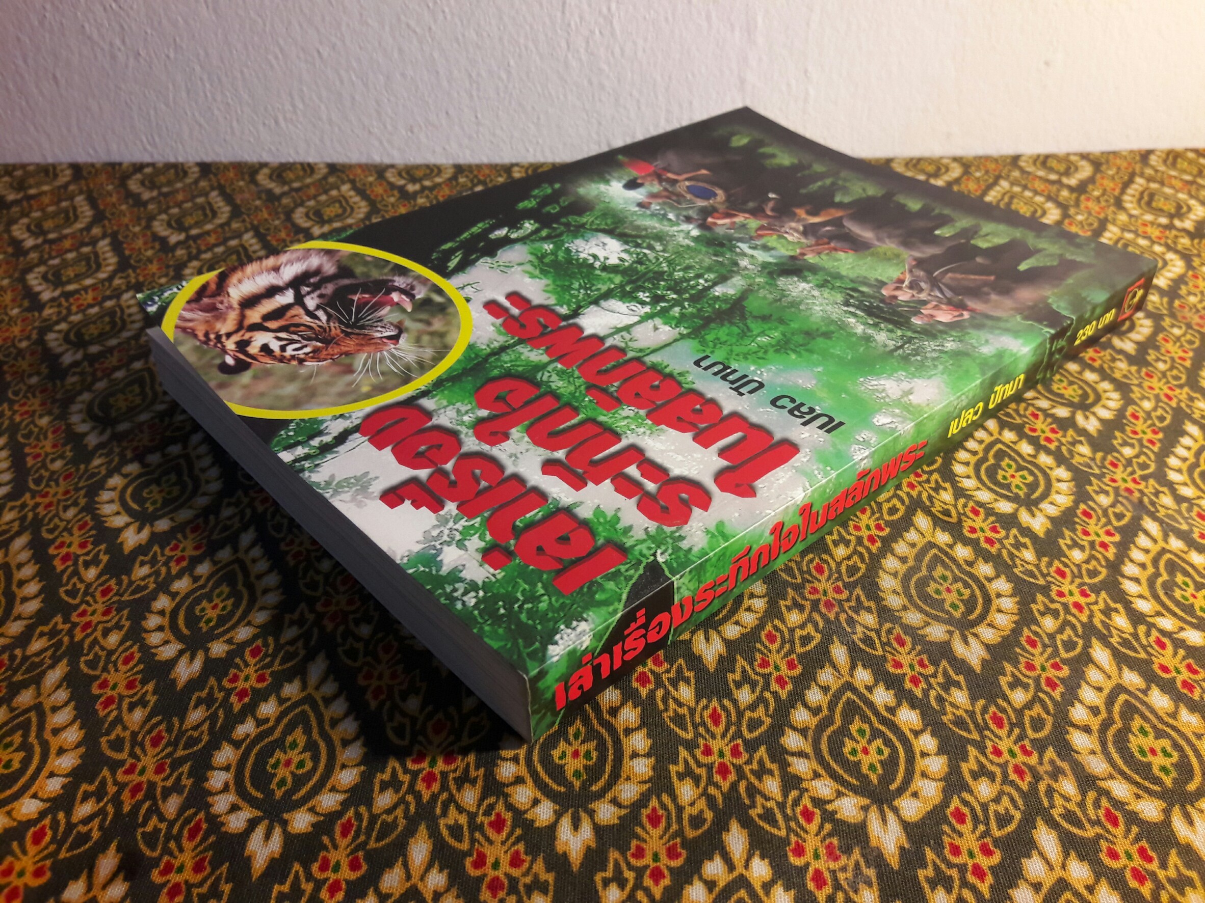 เล่าเรื่องระทึกใจในสลักพระ