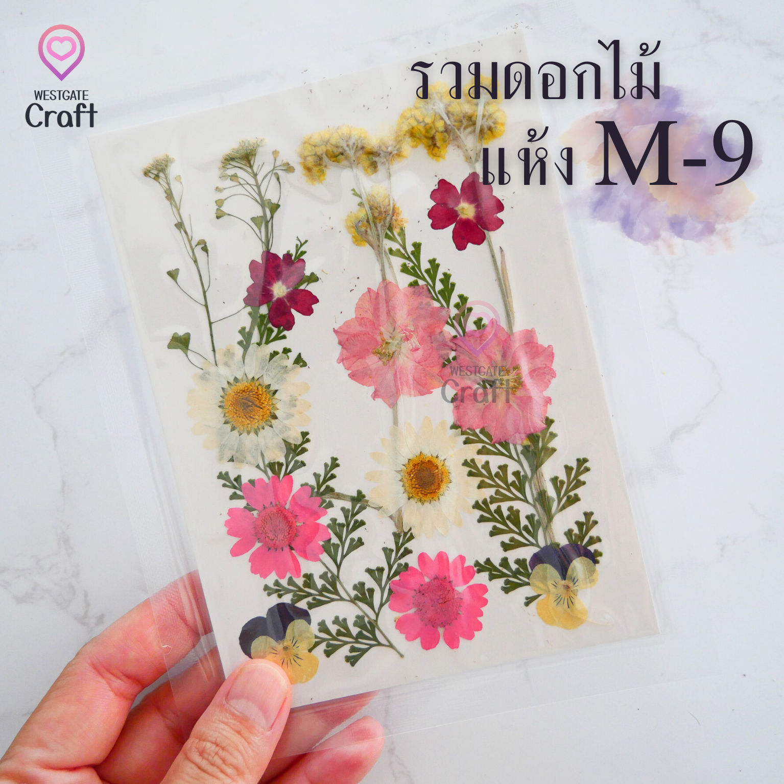 รวมดอกไม้แห้ง M ดอกไม้แห้งทับ ดอกไม้แบบคละ