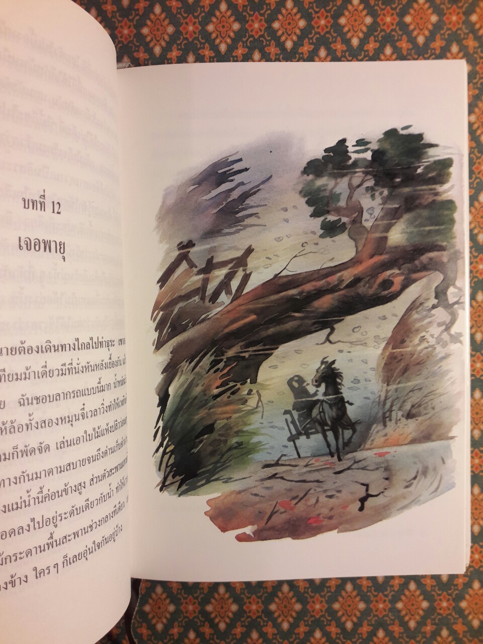 แบล็ก บิวตี้ Black Beauty “พร้อมกล่อง”