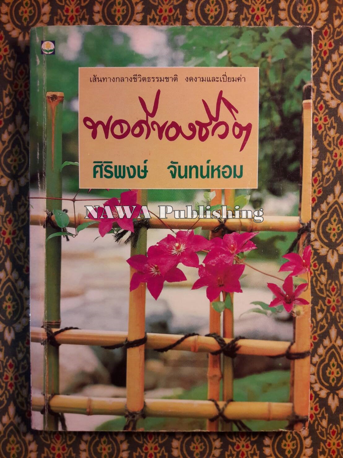 พอดีของชีวิต