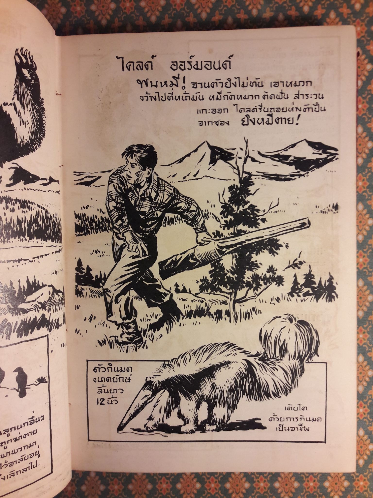 แปลกแต่จริง เชื่อหรือไม่?