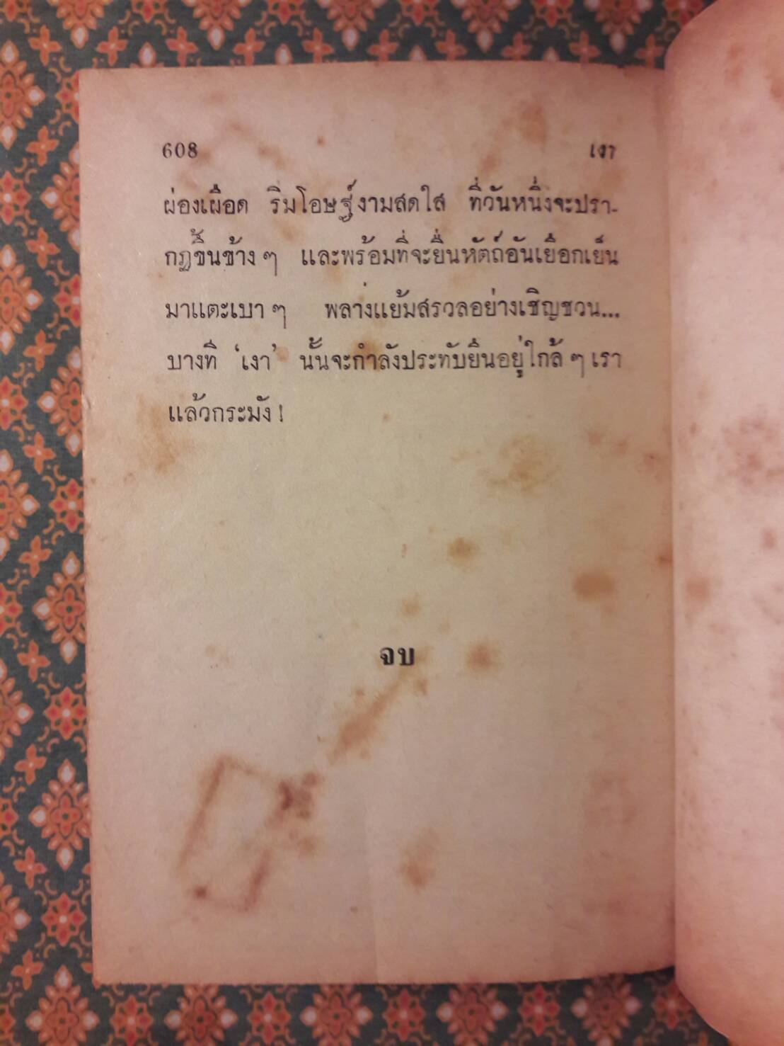 เงา (2 เล่มจบ)