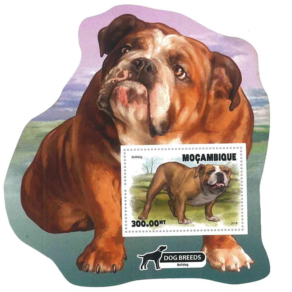 Mozambique Stamp, 2020 Dog - Mozambique S/S