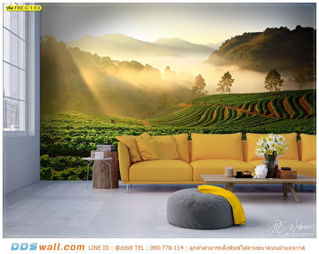 ร้านรับผลิต วอลเปเปอร์ติดผนังภาพวิว ตกแต่งห้องนั่งเล่น ด้วยภาพสั่งพิมพ์แสงแดดยามเช้าพร้อมทะเลหมอกบนเนินเขา สดชื่น ผ่อนคลาย