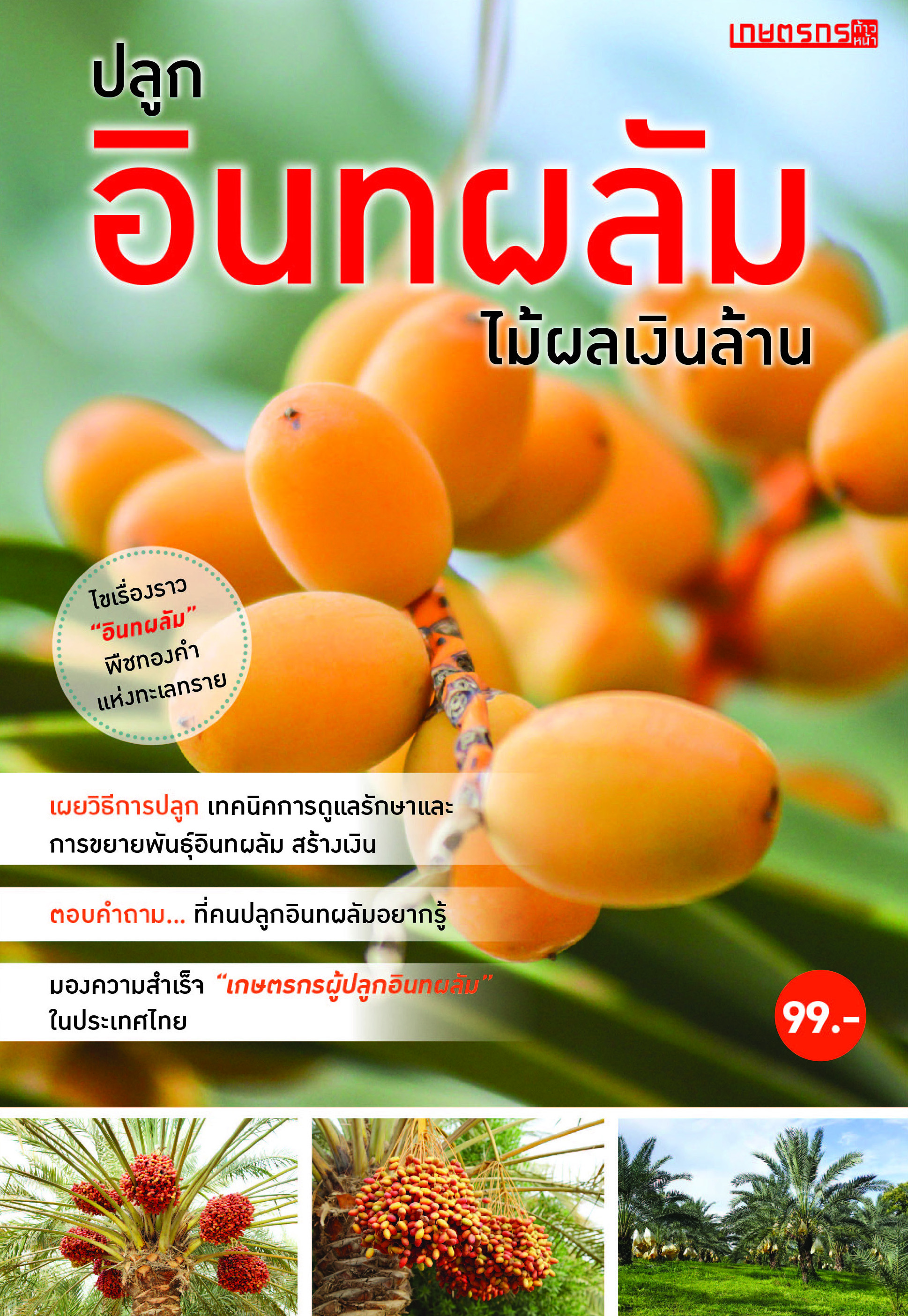 ปลูกอินทผลัม
