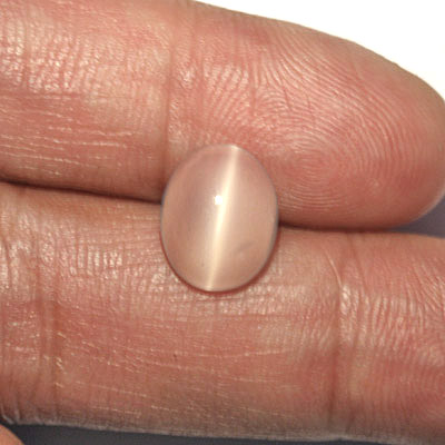 มูนสโตนตาแมว หรือ มุกดาหารตาแมว (Cat's eye Moonstone) 3.94 กะรัต สีขาว รูปไข่
