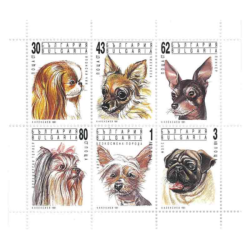 Bulgaria Stamp, 1991 Dog, Pet, Animals