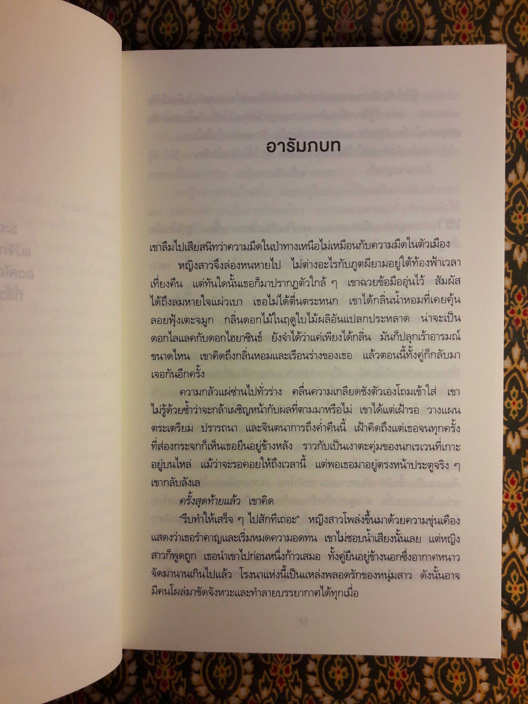 อิงแอบแนบฆ่า (Immoral)