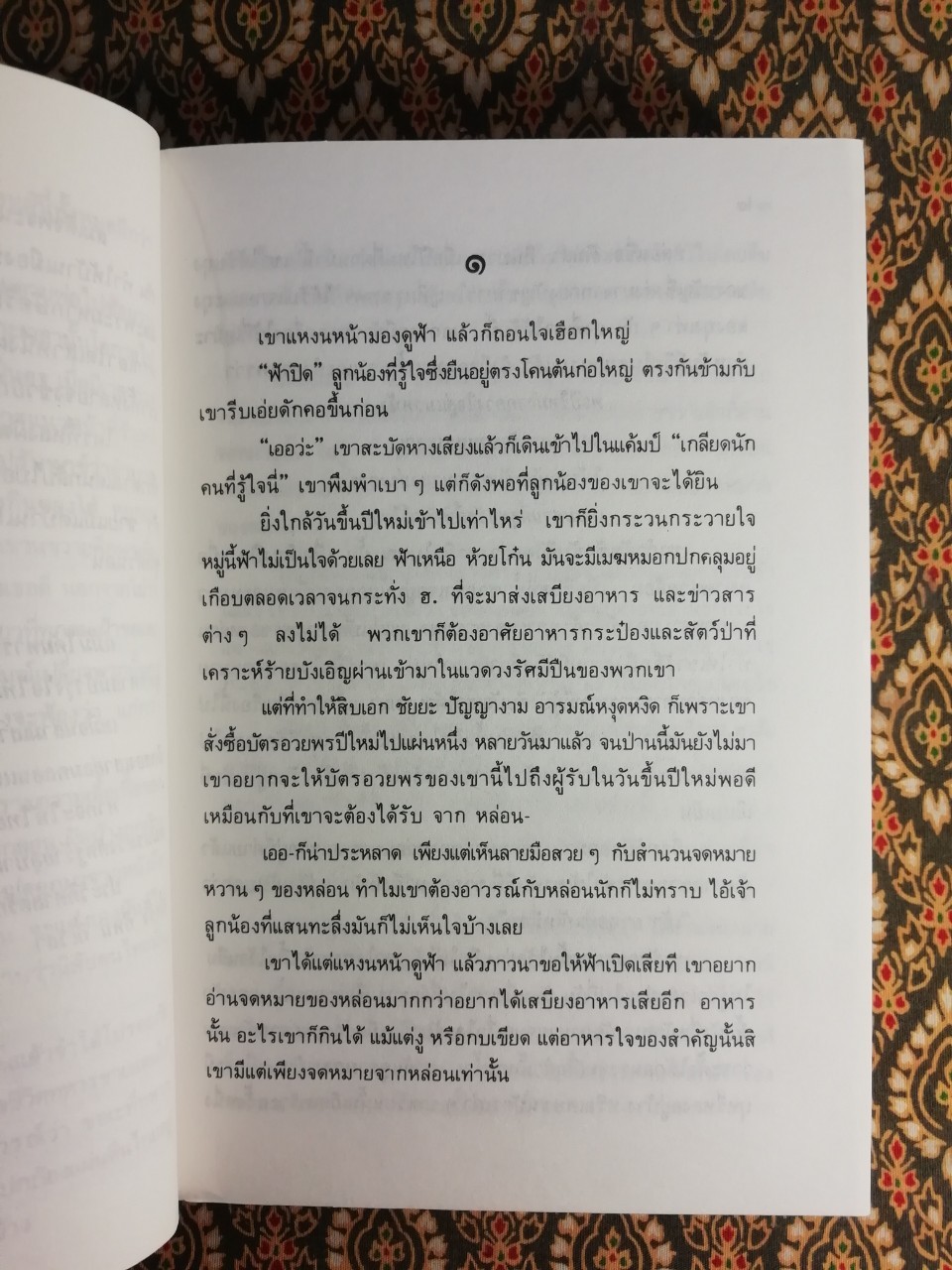 จดหมายชายแดน