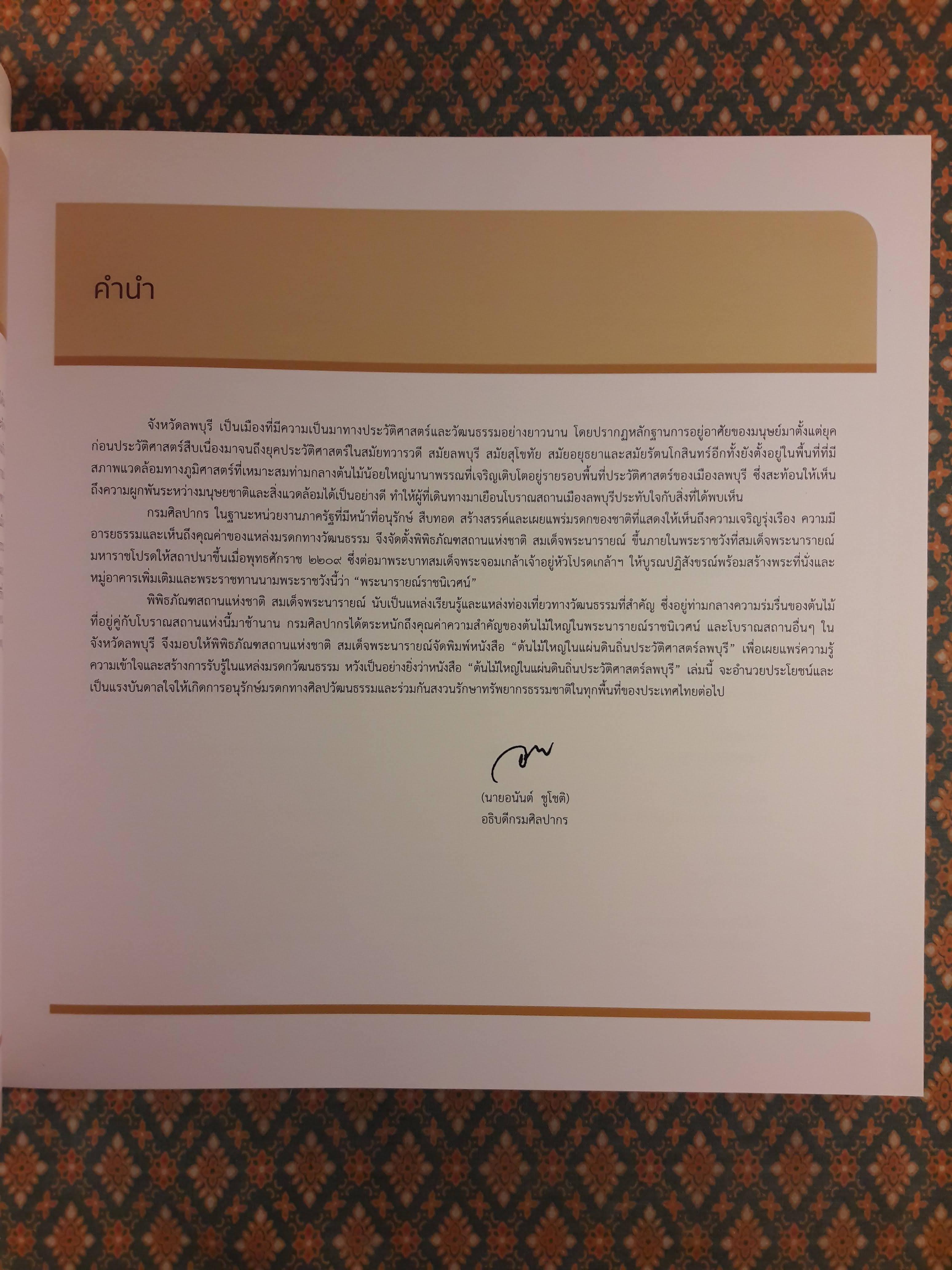 ต้นไม้ใหญ่ในแผ่นดินถิ่นประวัติศาสตร์ลพบุรี Big Trees in Lop Buri's Archacological Sites