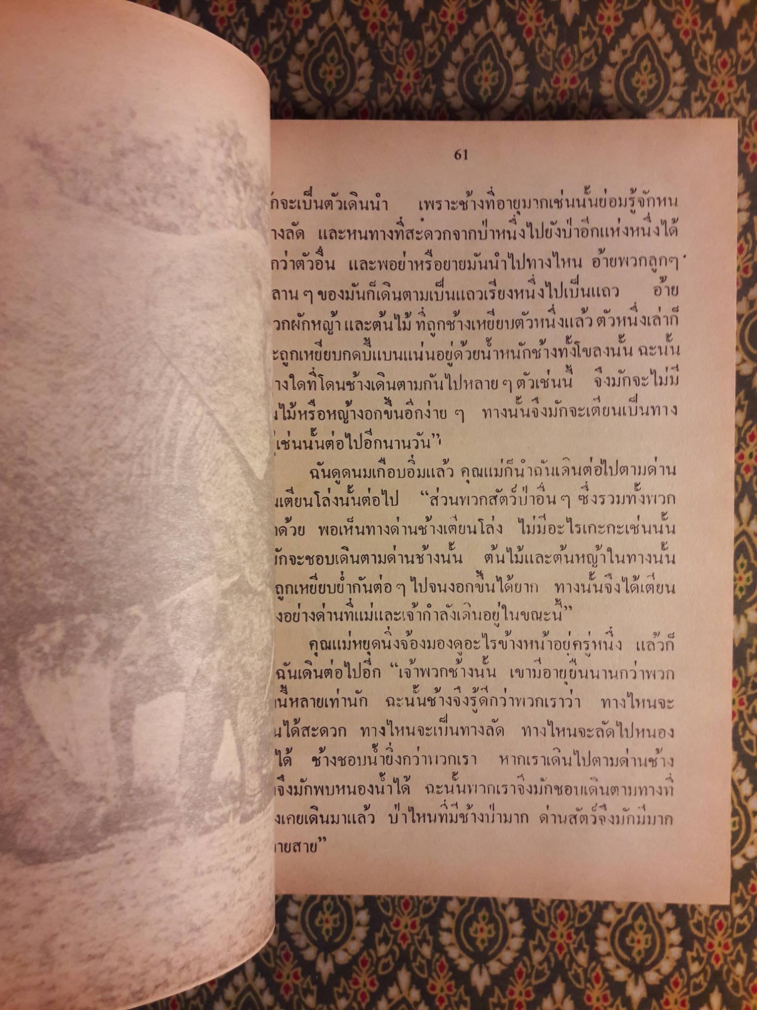 ชีวิตของฉันลูกกระทิง “หนังสือดี 100 ชื่อเรื่อง ที่เด็กและเยาวชนไทยควรอ่าน”
