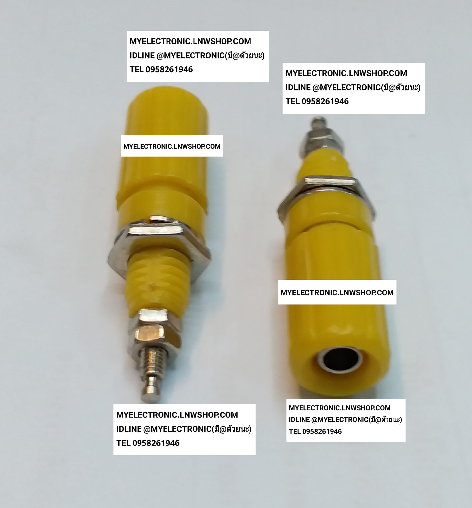 ขาย แจ็คไบริ่งโฟสตัวเมีย สีเหลือง JACK BIRINGPOS YELLOW FEMALE แจ็คไบริ่งโฟส ตัวเมีย ยี่ห้อ ราคา ตัวละ . . . . หน่วย บาท