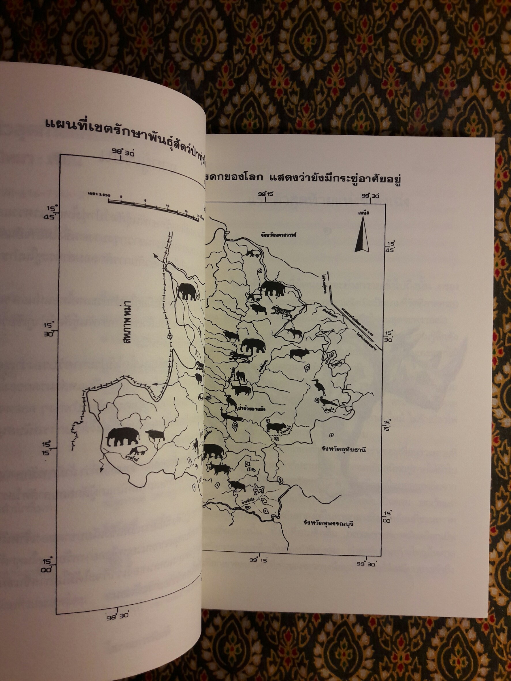 แรดตัวสุดท้ายแห่งชิเด่งเฉ่ง