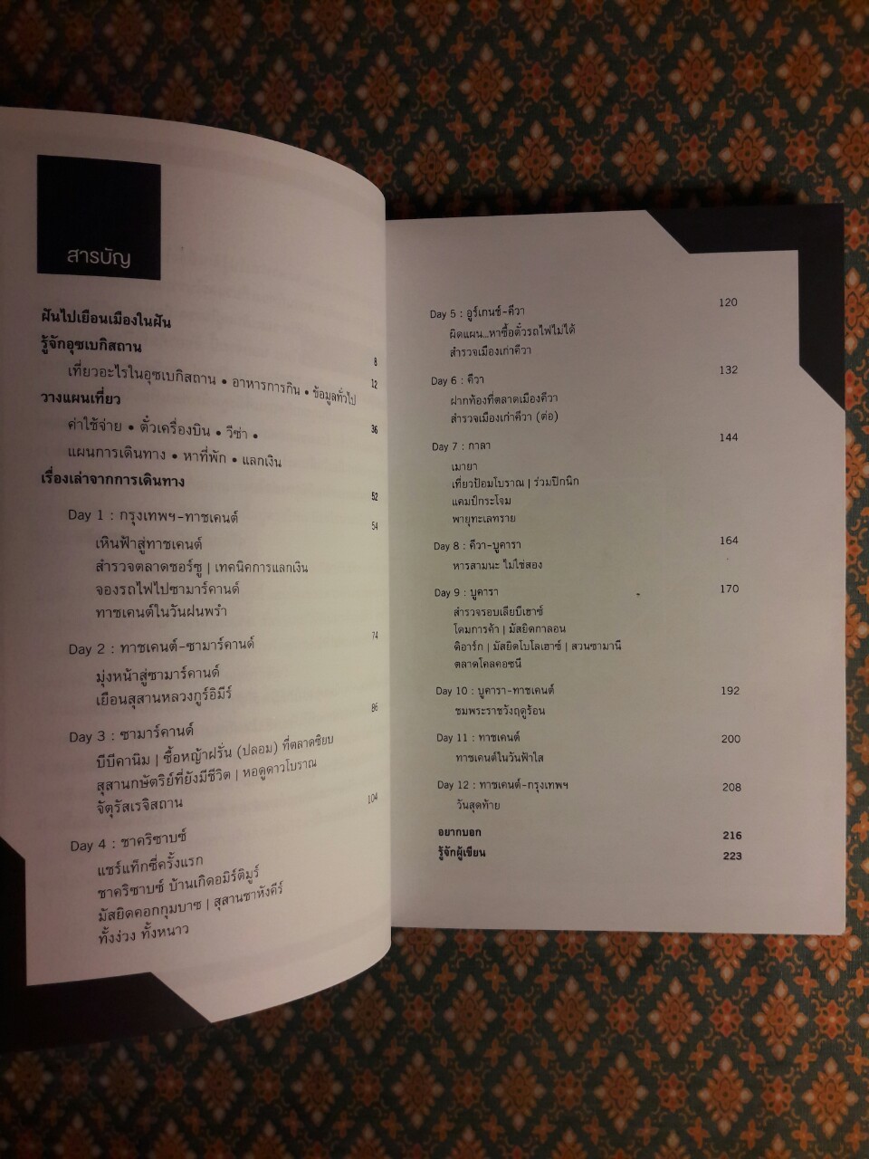 อ้อมแขนกอดแดนโดม