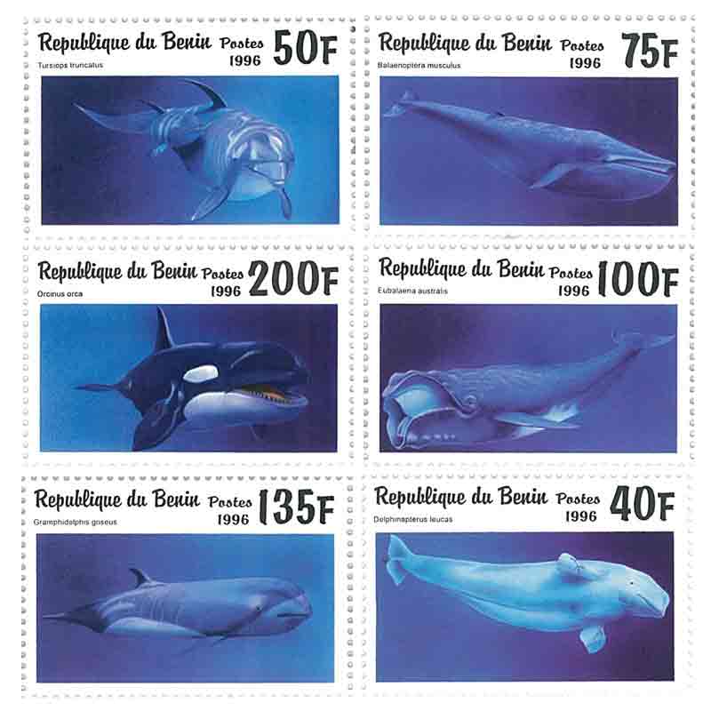 Benin Stamp, 1996 Whale, Marine Life, Fish