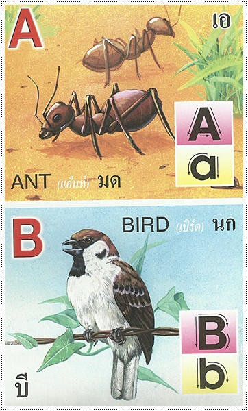 หัดอ่าน ABC - คละปก