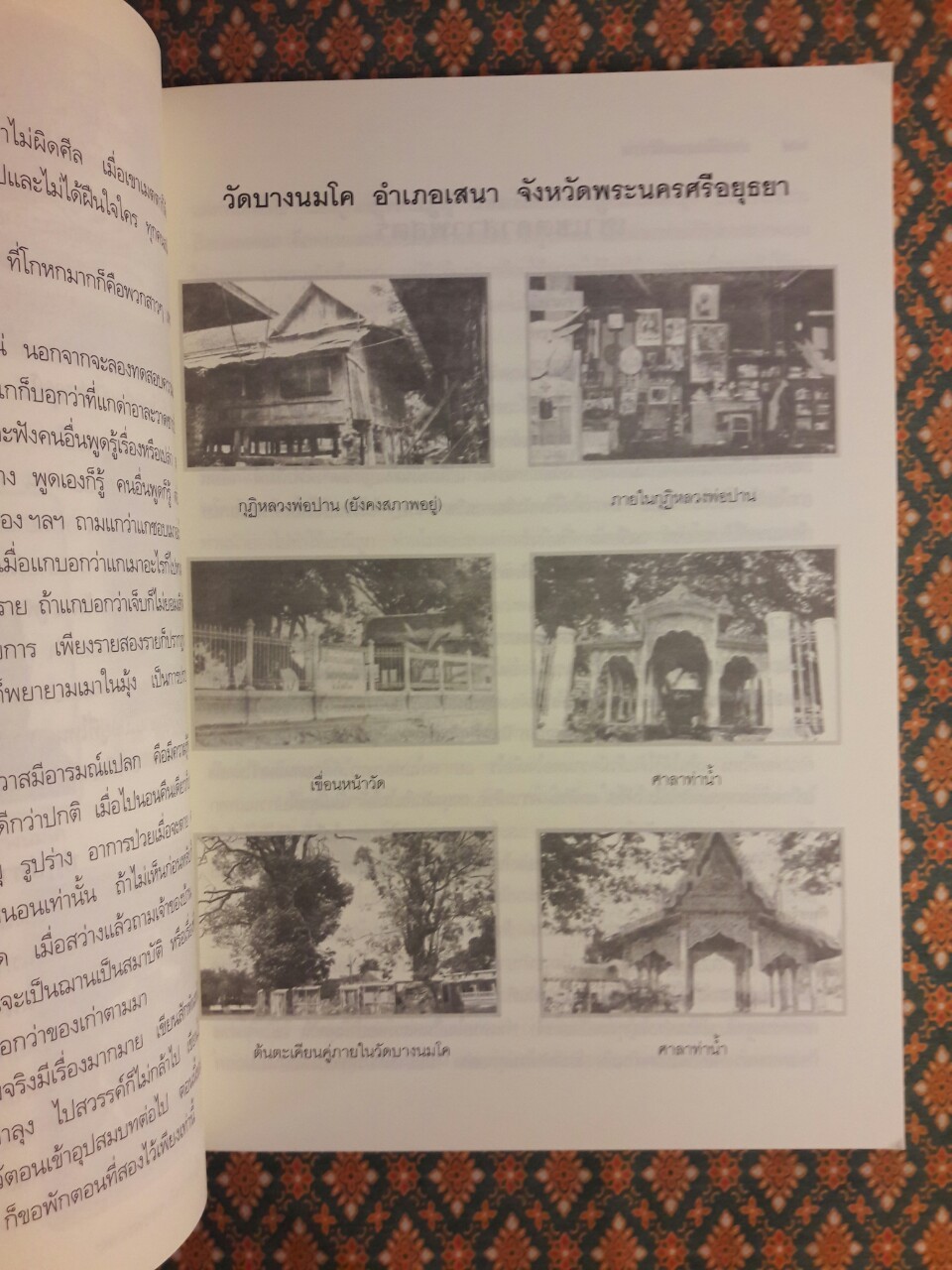ประวัติหลวงพ่อปาน โสนันโท (พระครูวิหารกิจจานุการ)