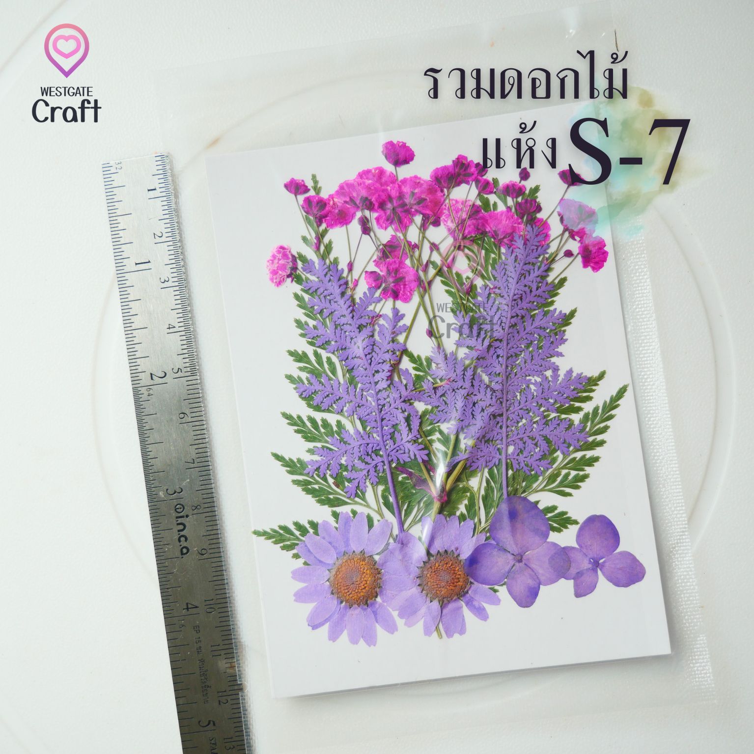 รวมดอกไม้แห้ง S ดอกไม้แห้งทับ ดอกไม้แบบคละ