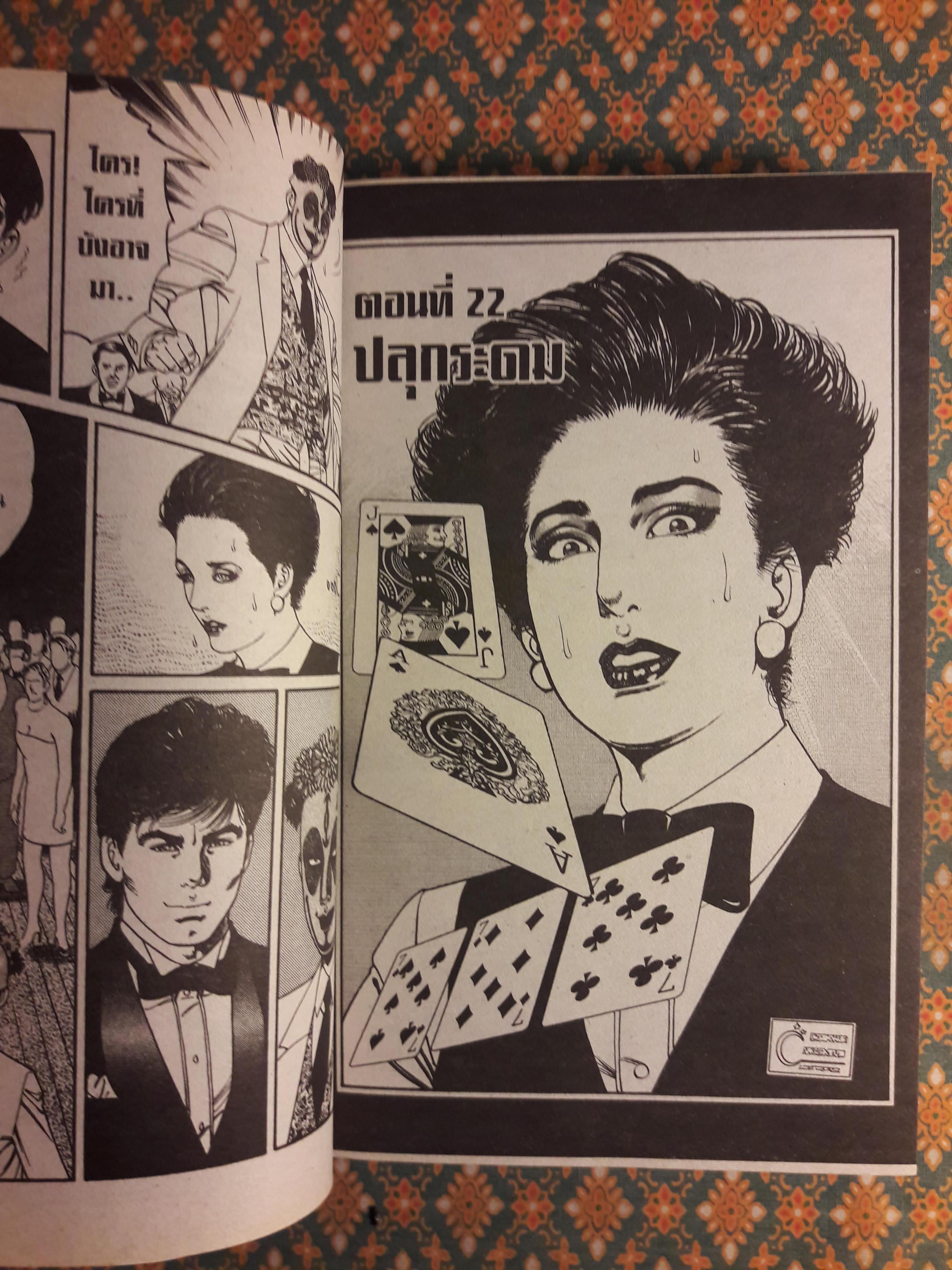 พยัคฆ์ลำพอง Dark (2 เล่มจบ)