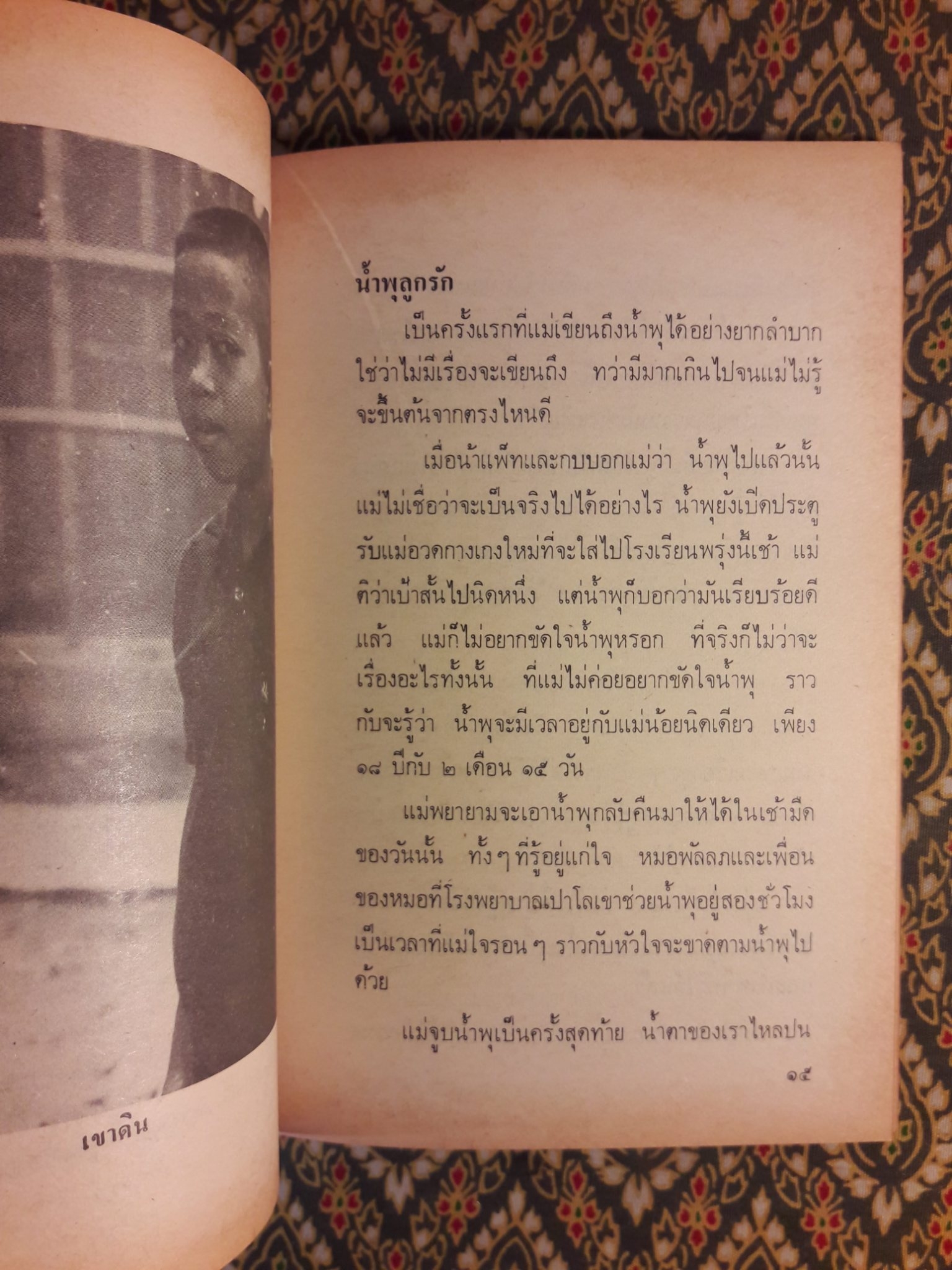 เรื่องของน้ำพุ