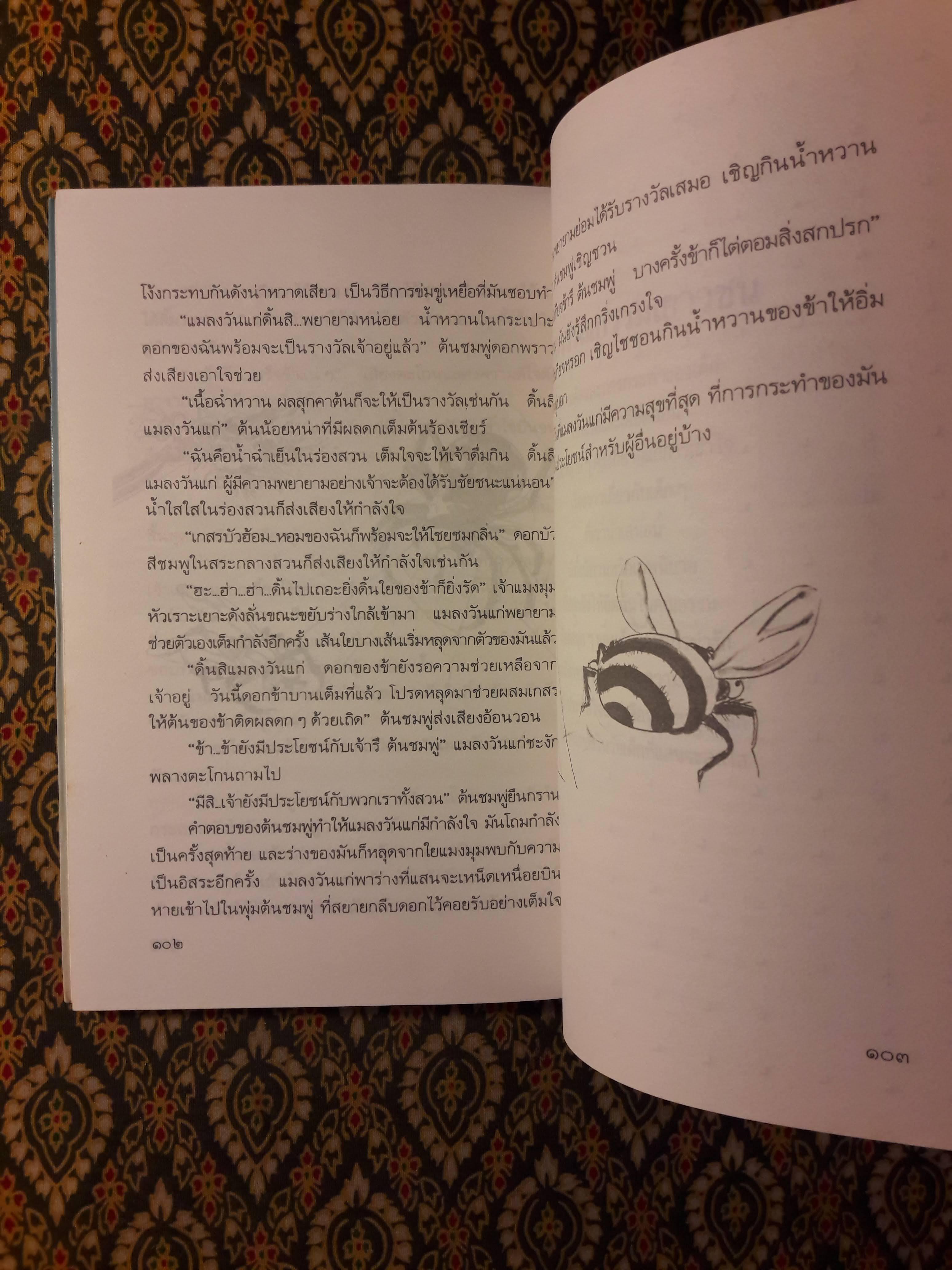 โรงเรียนครูนกฮูก