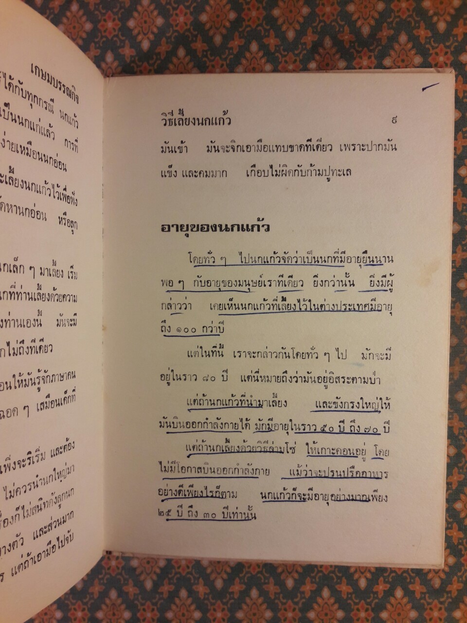ตำราเลี้ยงและดูลักษณะนกแก้ว นกขุนทอง นกเอี้ยง