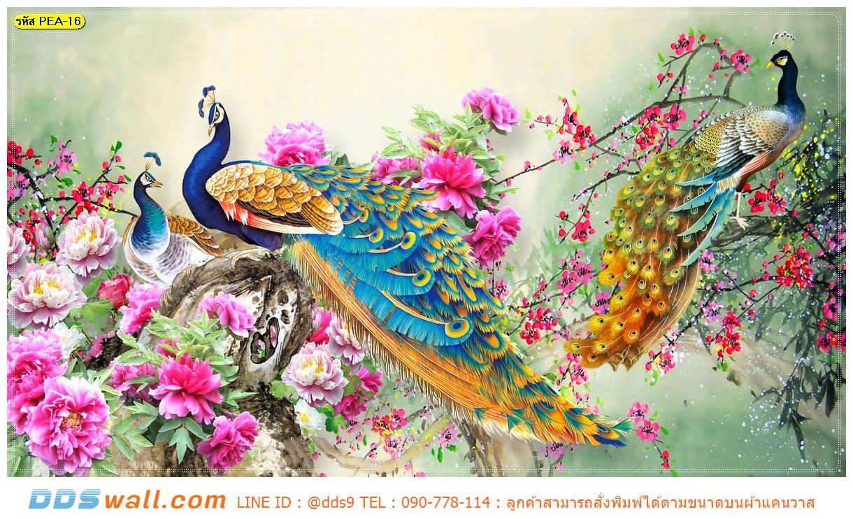 ร้านรับผลิต วอลเปเปอร์ภาพวิว ลายนกยูงเกาะกิ่งดอกไม้พื้นสีน้ำ พักผ่อนสุดหรูหรา ในห้องโถงใหญ่ ประดับโคมไฟระย้า โดดเด่น