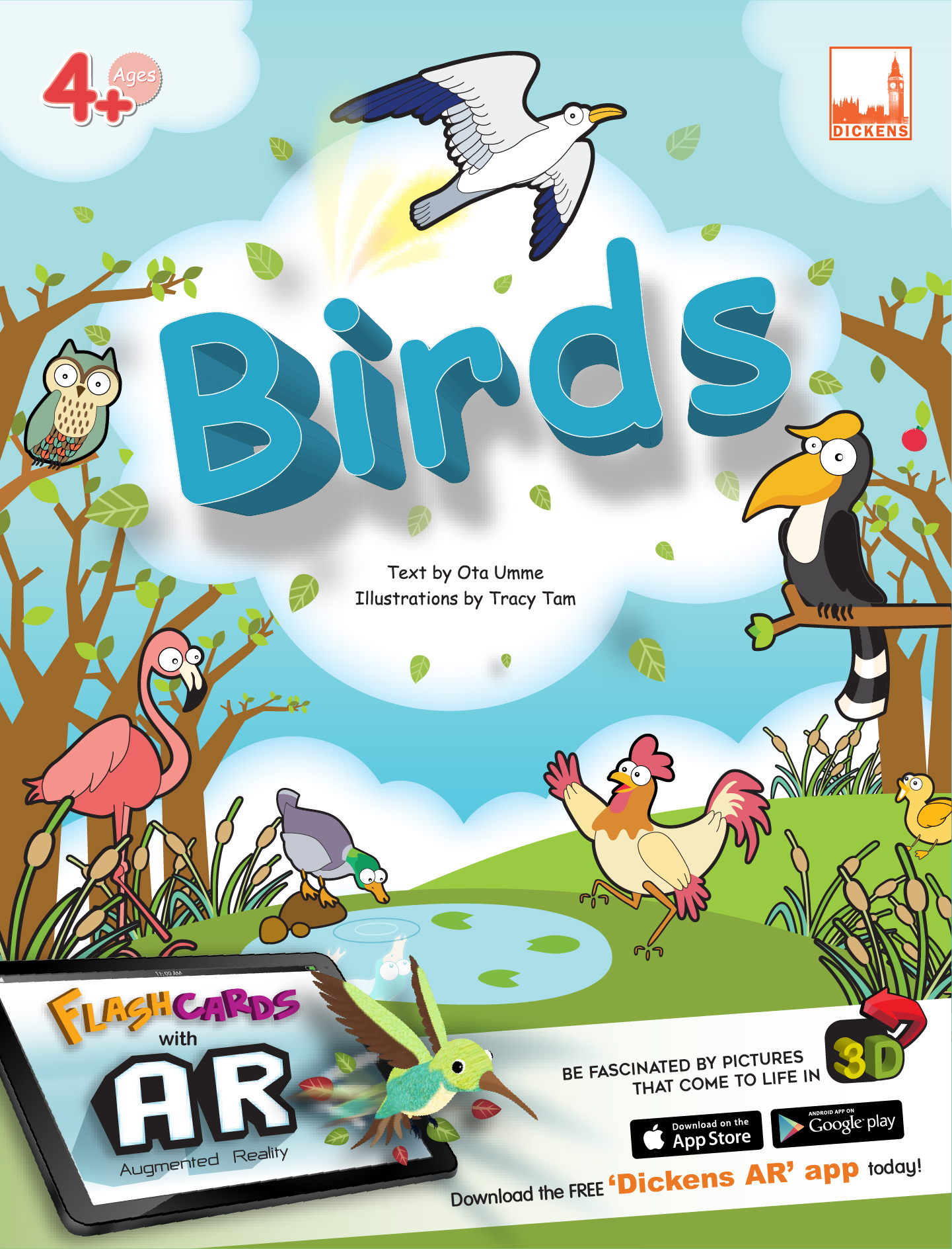 Flash Cards Birds (AR)