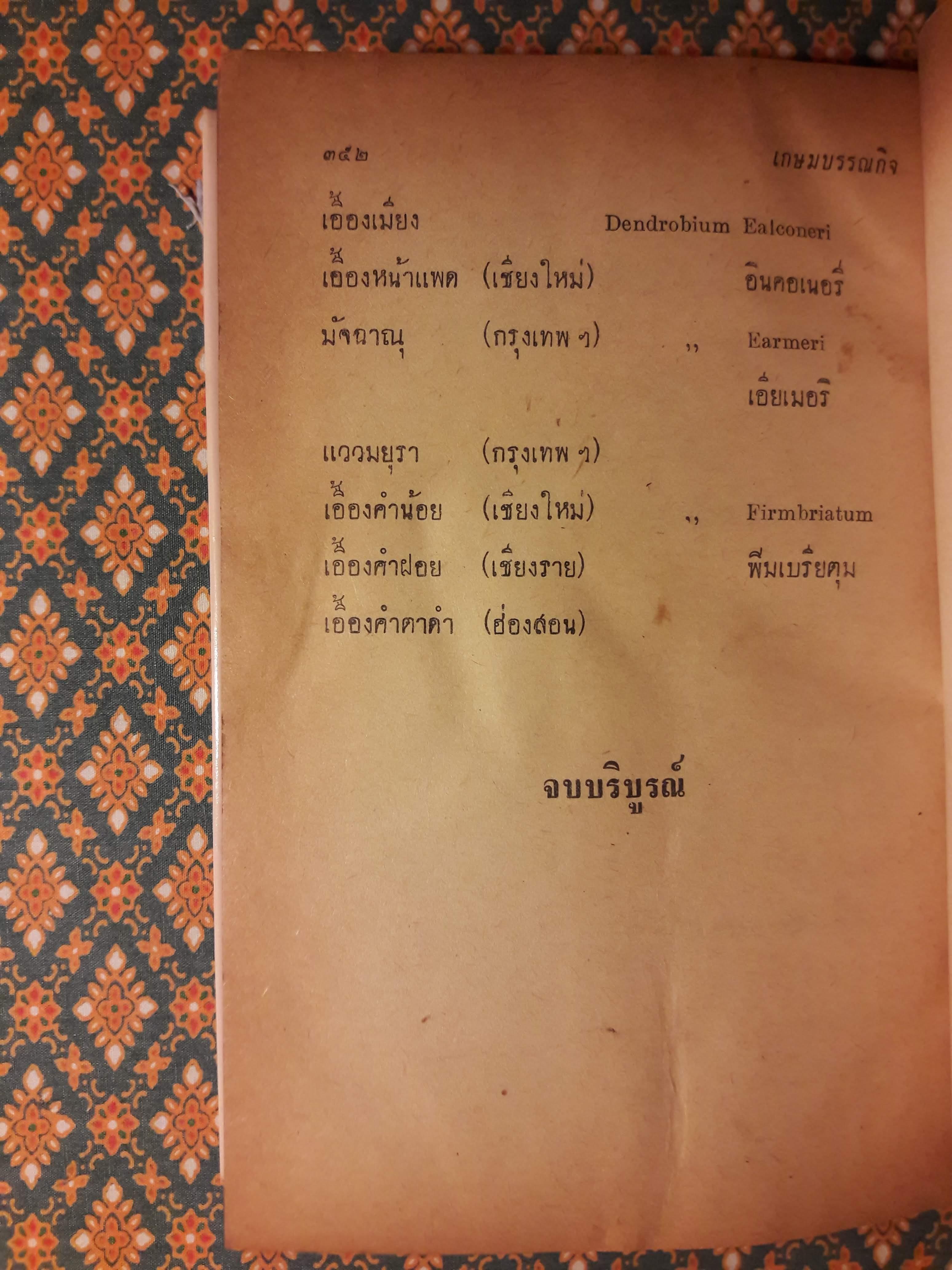 กล้วยไม้