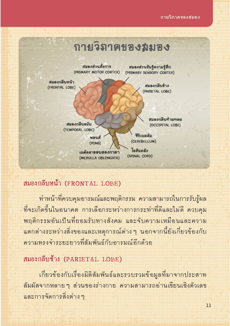 ถอดรหัสสมองอัจฉริยะ : ฉลาดทันใจ อัจฉริยะสั่งได้ ต้านสมองเสื่อมได้อย่างน่าทึ่ง!