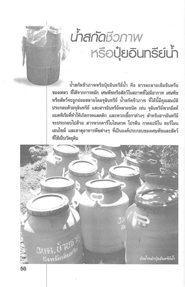 เคล็ดลับการผลิตปุ๋ยอินทรีย์ชีวภาพ