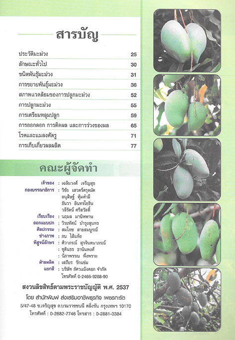 การเพาะปลูกและขยายพันธุ์ มะม่วง