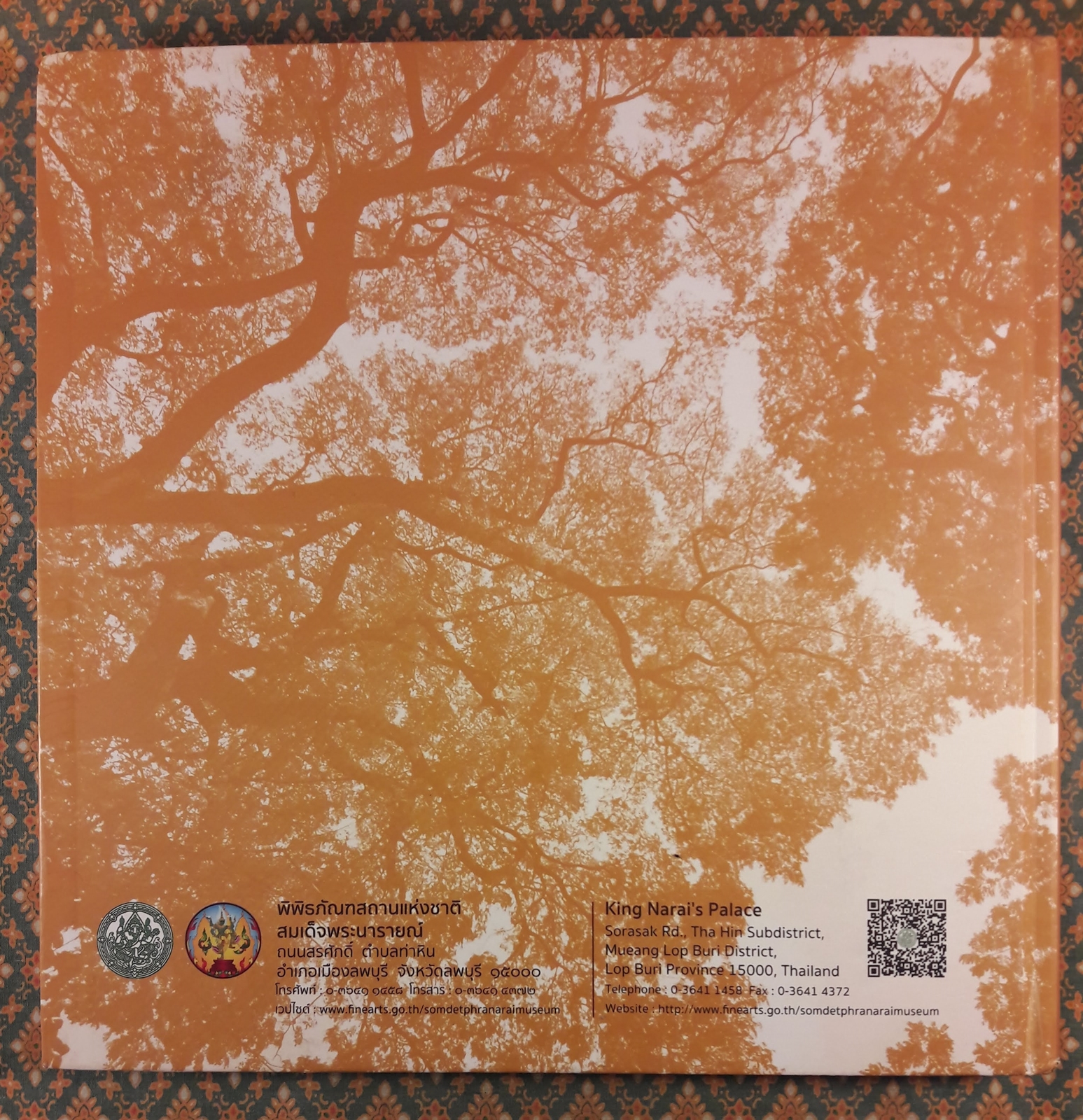 ต้นไม้ใหญ่ในแผ่นดินถิ่นประวัติศาสตร์ลพบุรี Big Trees in Lop Buri's Archacological Sites