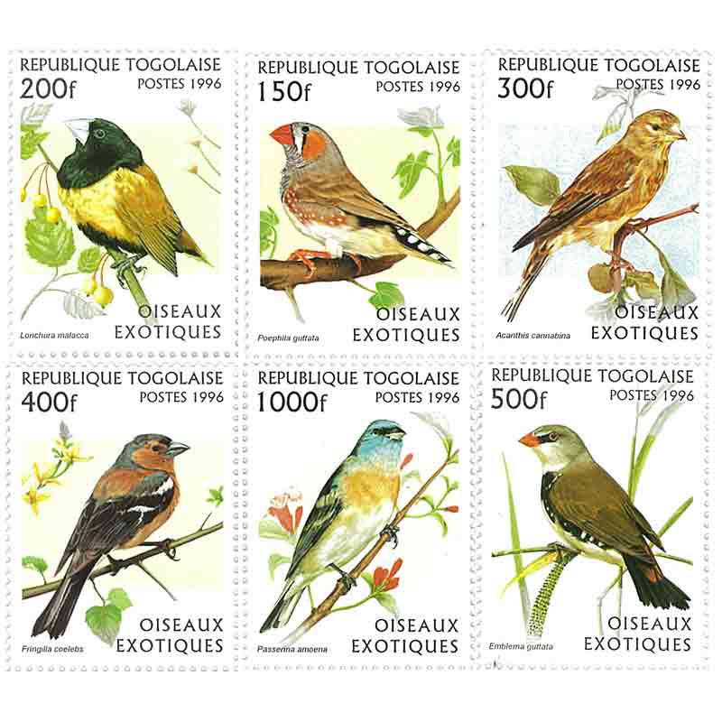Togo Stamp, 1996 Bird, Wildlife, Flower, Nature