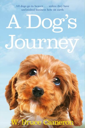DOG'S JOURNEY, A