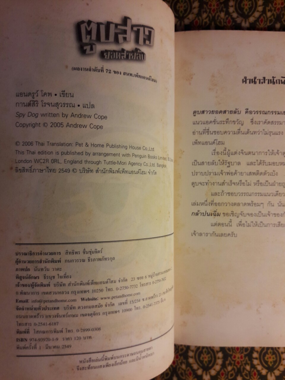 ตูบสาวยอดสายลับ