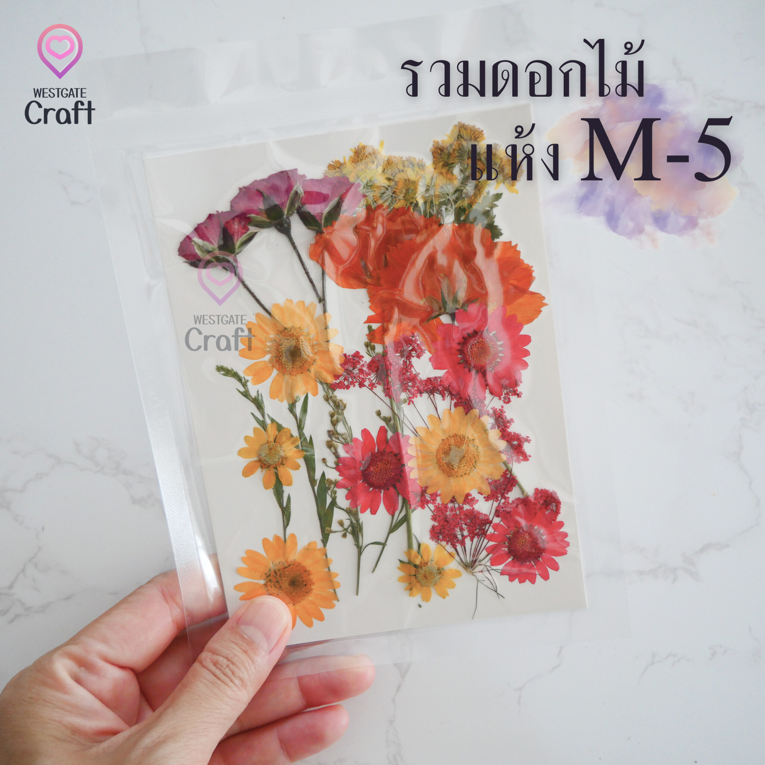 รวมดอกไม้แห้ง M ดอกไม้แห้งทับ ดอกไม้แบบคละ