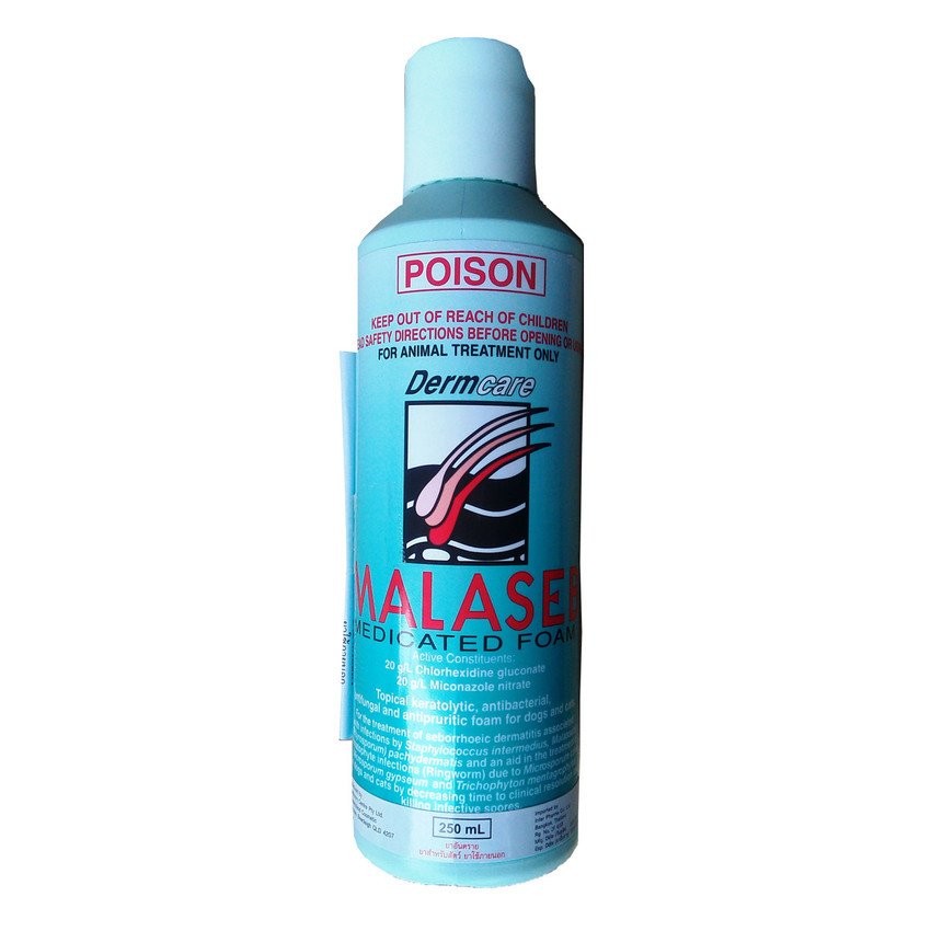 แชมพู DERMCARE MALASEB MEDICATED FOAM แก้ปัญหาผิวหนังอักเสบจากเชื้อรา ยีสต์ และแบคทีเรีย 250 ML.