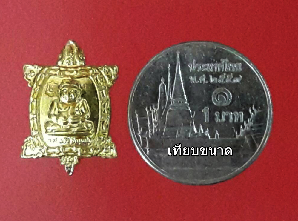 พญาเต่าเรือนพิมพ์จิ๋ว รวย รวย รวย วัดสี่แยกเจริญพร จ.นครปฐม